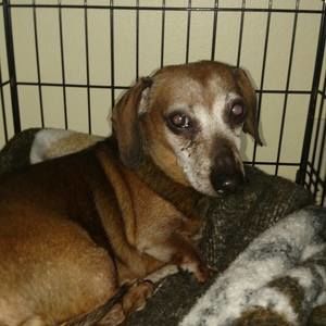 Meet your Posher, Tristan